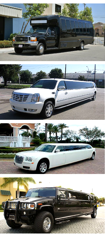 Party Buses and Limos North Carolina