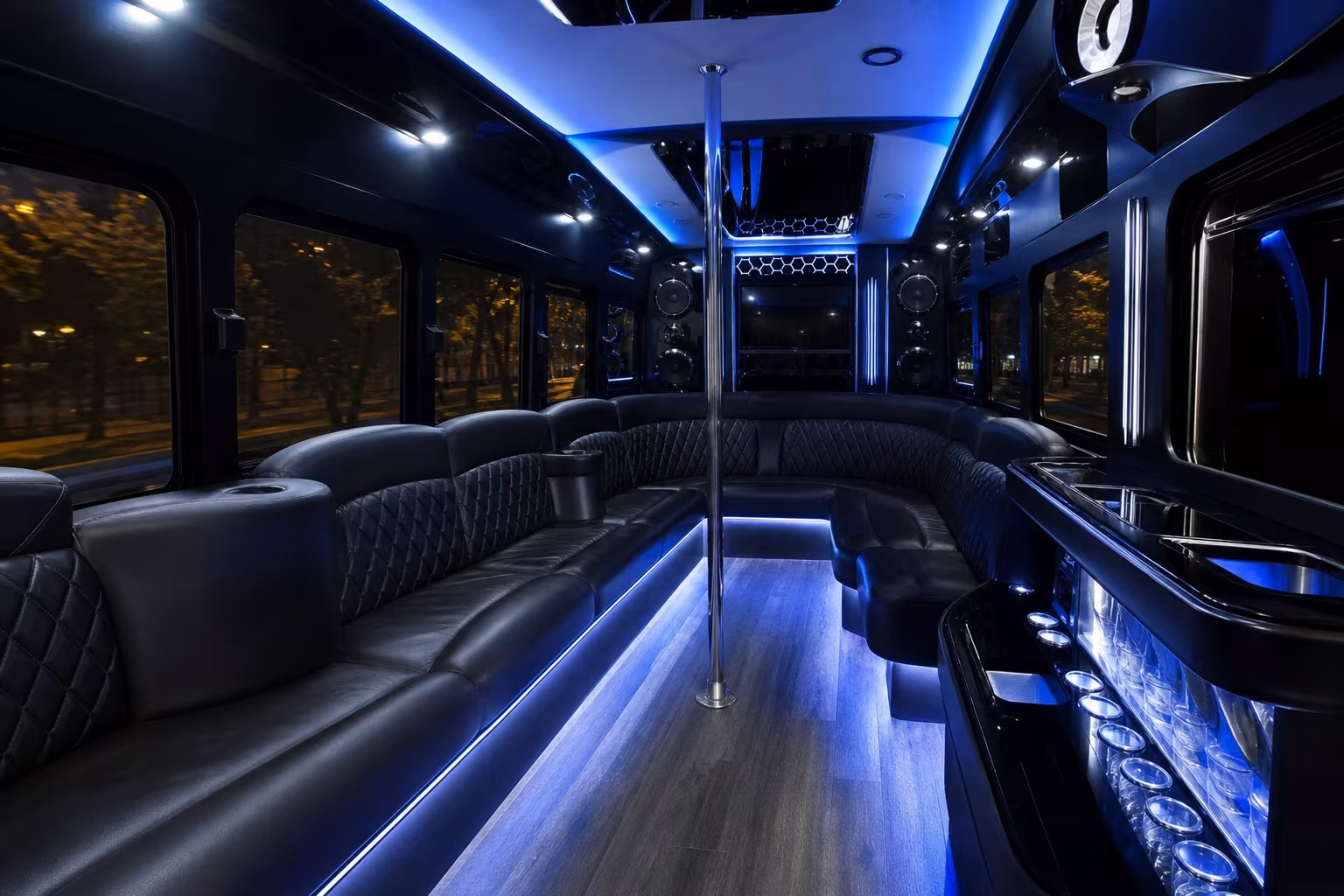 20 Passenger Party Bus Interior
