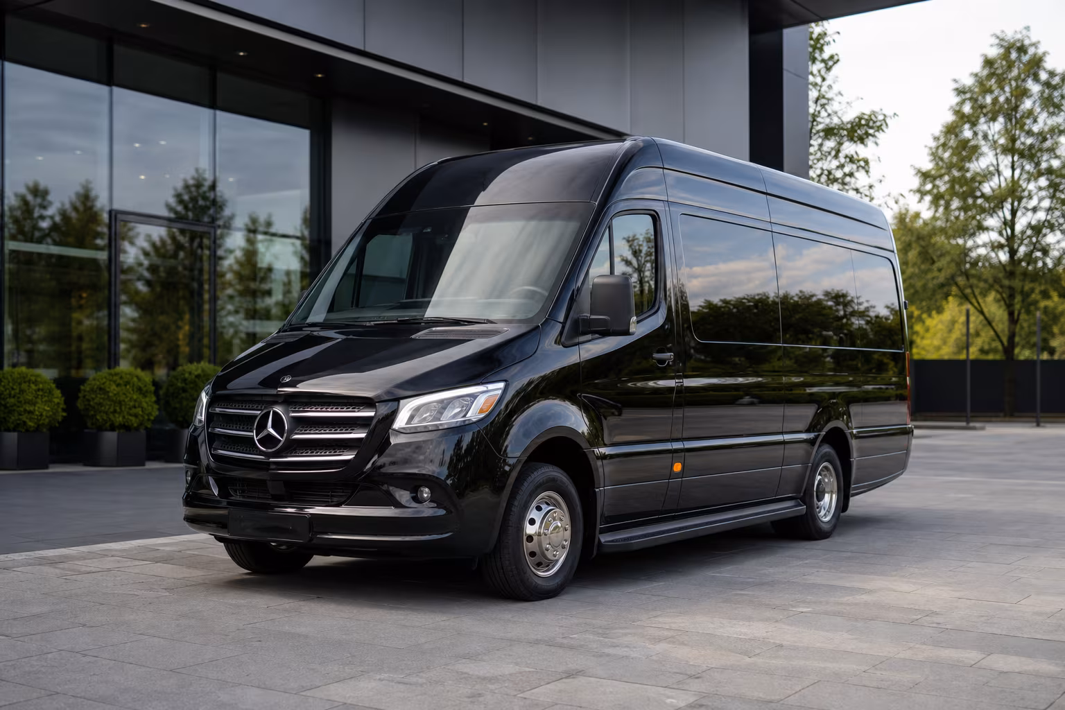 14 Passenger Sprinter Limo
