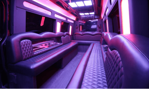Greensboro 14 Passenger Sprinter Bus Interior