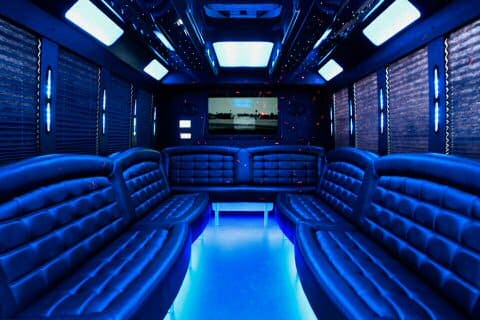 Greensboro 36 Passenger Party Bus Interior